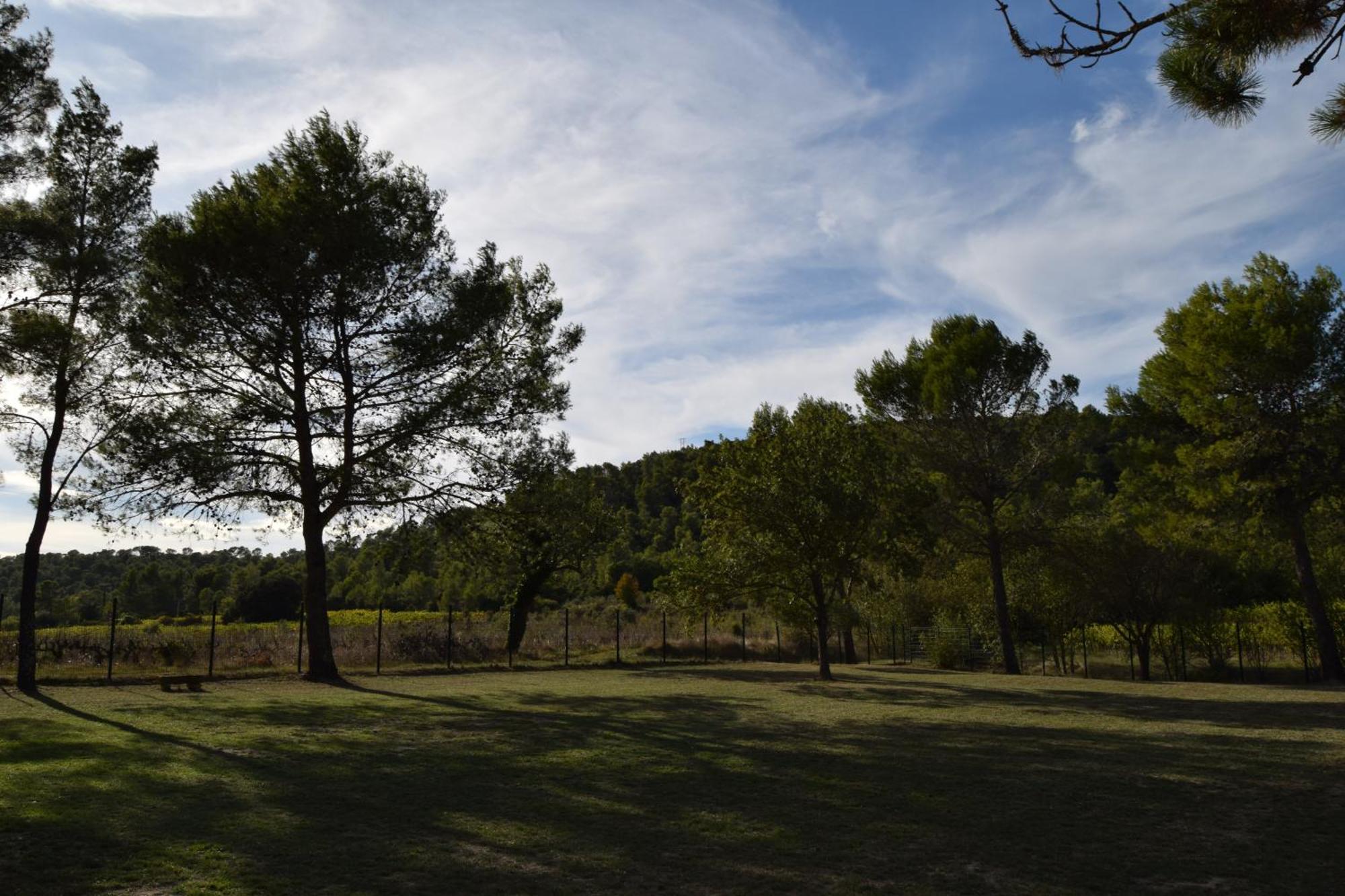 Gard'iguette Avec Entre Vignes &garrigue Villa Carnas