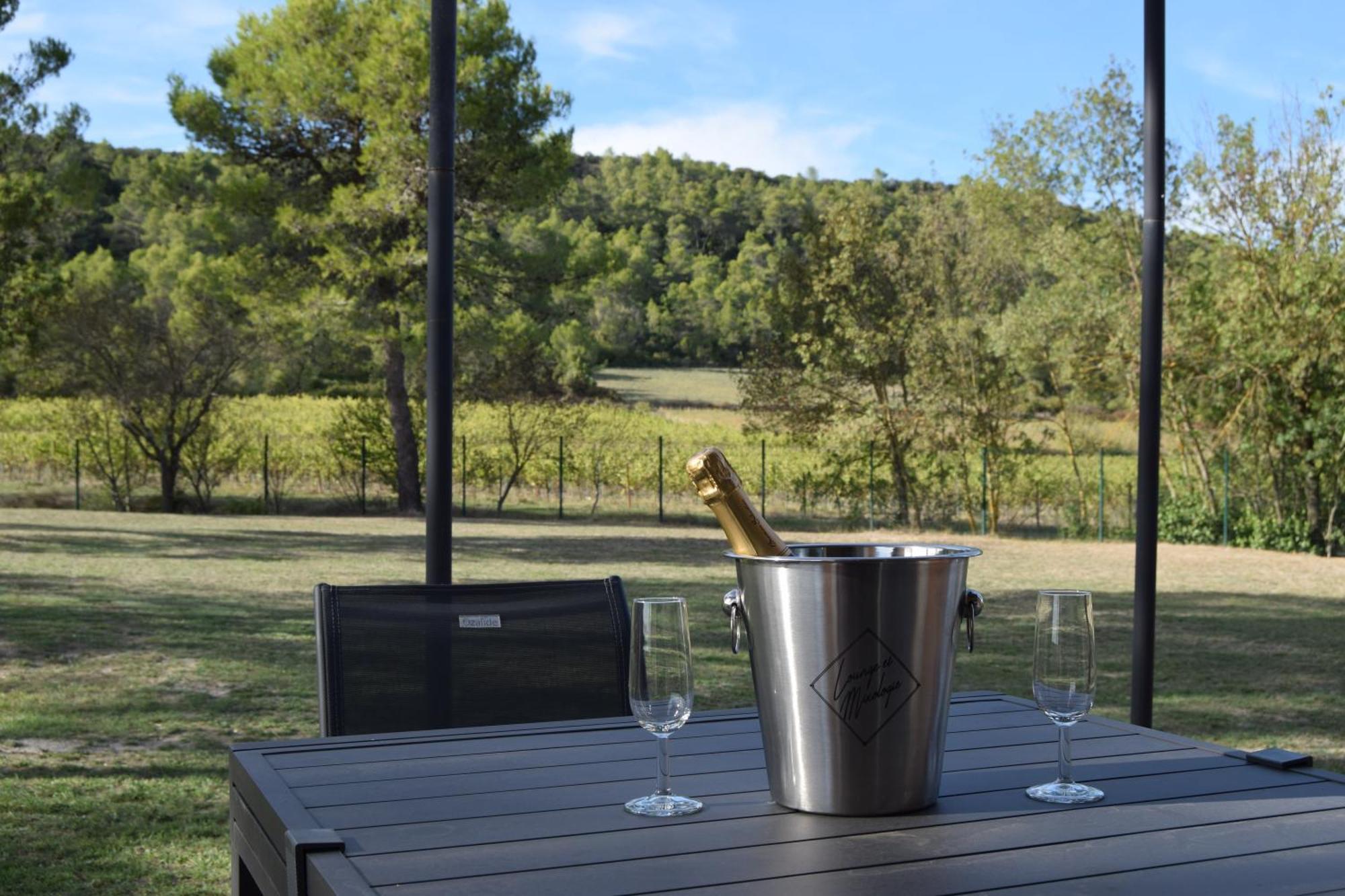 Gard'iguette Avec Entre Vignes &garrigue Villa