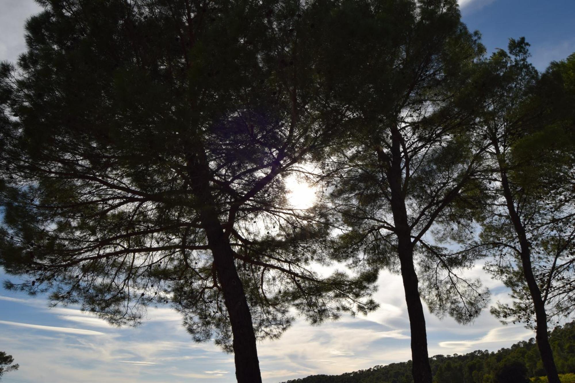 Villa Gard'iguette Avec Entre Vignes &garrigue *